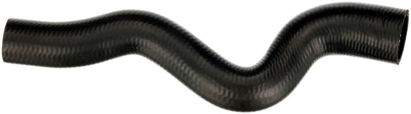 Gates 05-4919 -  -