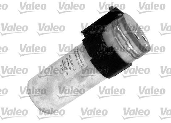 Valeo 509719