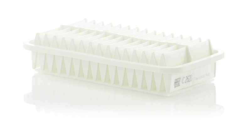 Mann-Filter C 2620